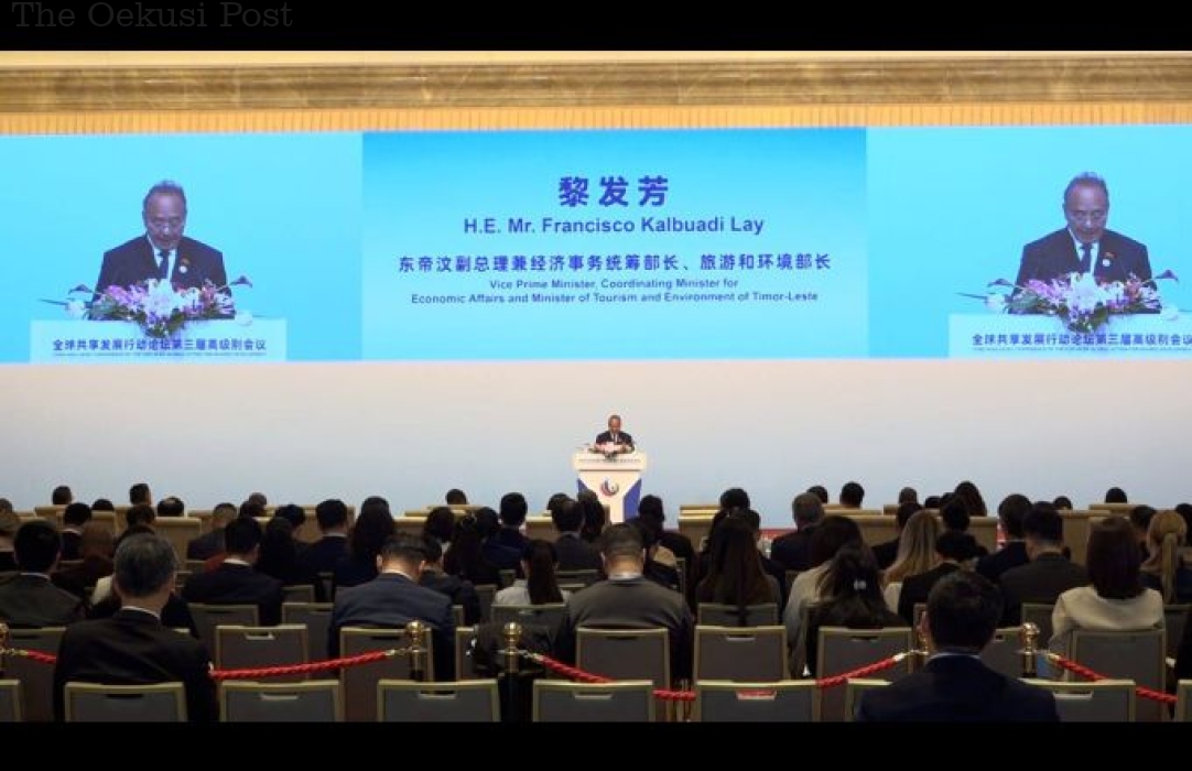 China is an important partner for the economic development of TL